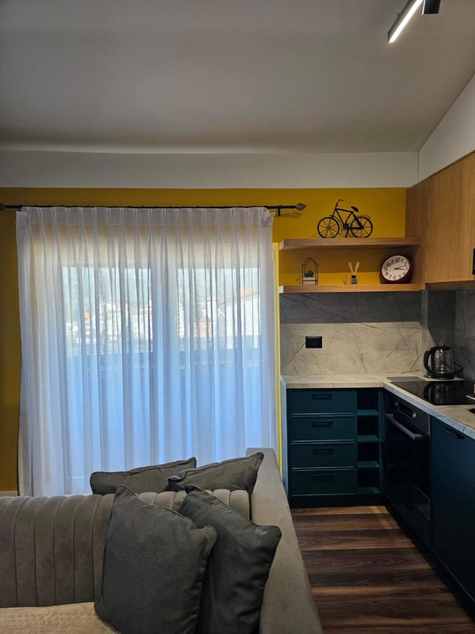 Drion With View Apartament Pogradec